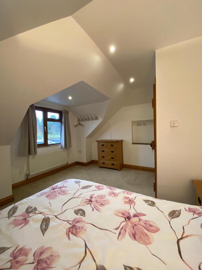 צ'יצ'סטר Mulberry Cottage Near Goodwood מראה חיצוני תמונה